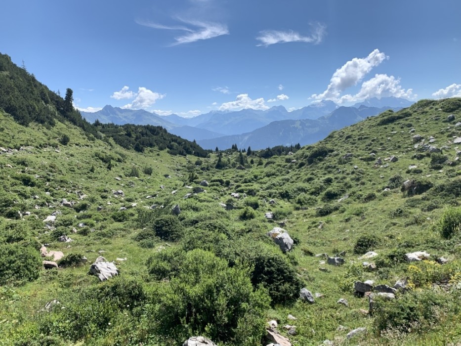 Erkunden Sie in Ihrem Mountainbike Urlaub die vielfältige Landschaft in Lech am Arlberg