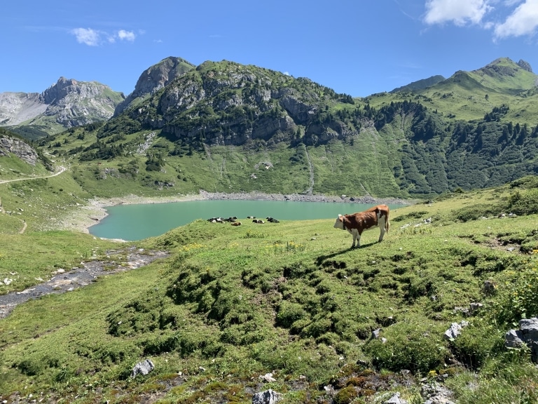 Erkunden Sie beim Wandern die Bergseen in Lech am Arlberg