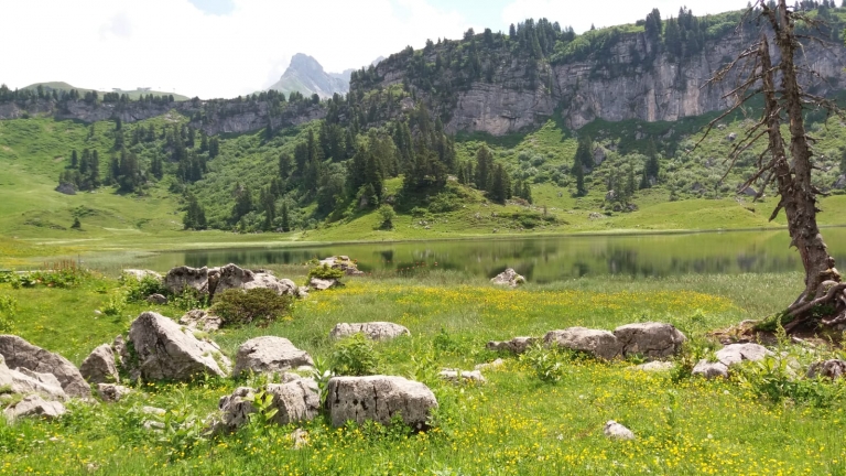 Vielseitige Wanderungen für die ganze Familie in Lech am Arlberg