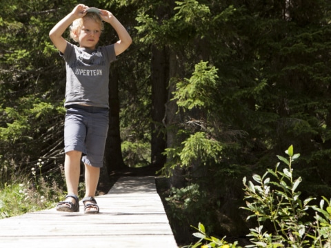 Wanderurlaub mit Kindern in Lech am Arlberg