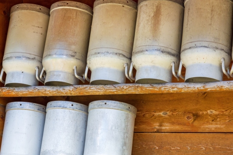 Milchkannen in einem Regal an einer Holzwand