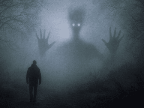 Sonnenburg 2025, Bewerbungsfoto 2 (Variante)