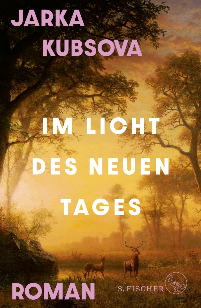 Buchcover von "Im Licht des neuen Tages" von Jarka Kubsova.